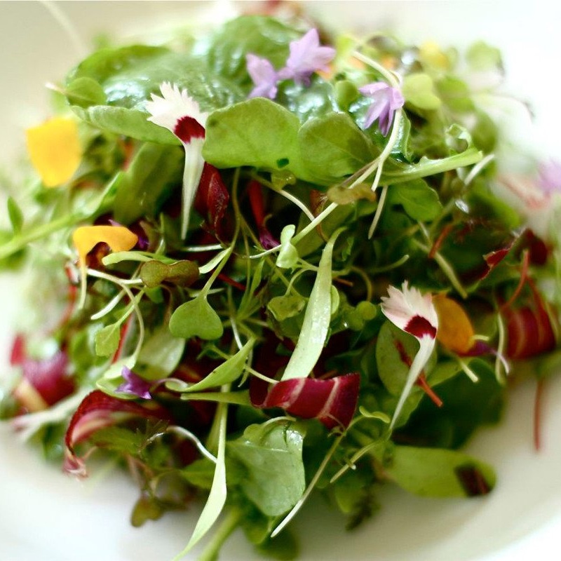 Салат из кресс салата рецепты с фото